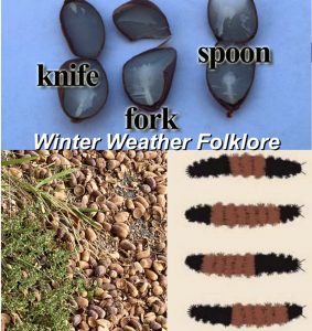 winter weather folklore