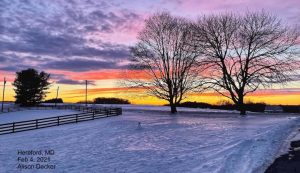 Snow Hereford Maryland February 4 2021