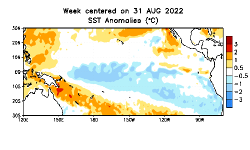 Pacific Ocean Sea Surface Temperatures Anomalies November La Niña