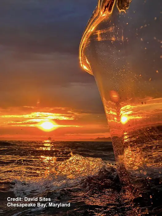 Chesapeake Bay Sunset boat reflection David Sites