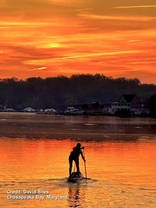 Chesapeake Bay Sunset paddleboard David Sites