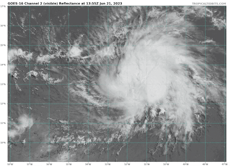 Tropical Storm Bret visible satellite loop June 21