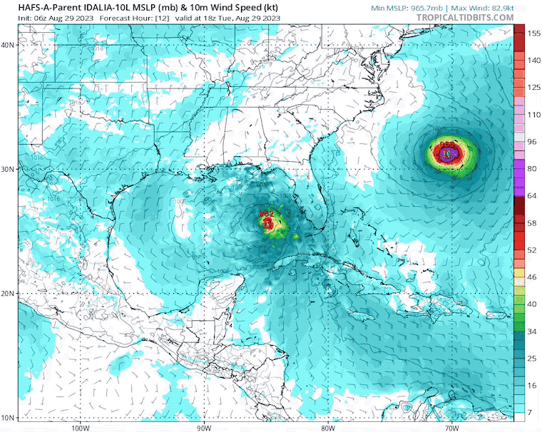 August 29 Hurricane Idalia Forecast Model