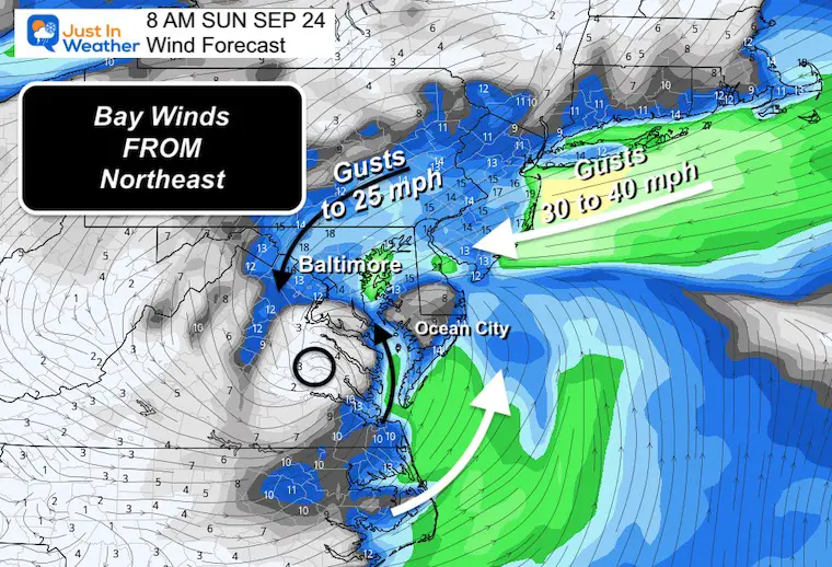 Tropica Storm Ophelia Wind Sunday Morning