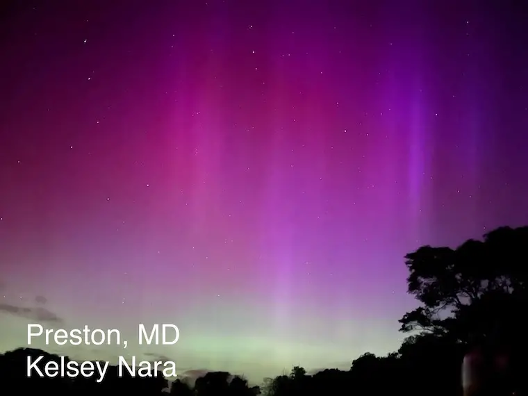 May 11 aurora Preston MD