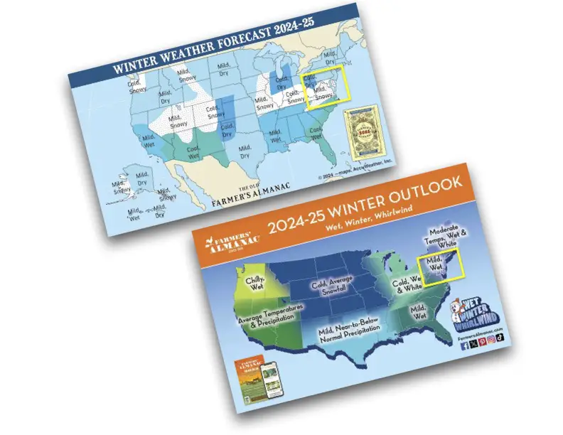 Comparing Two Farmers Almanacs For Winter 2024 to 2025