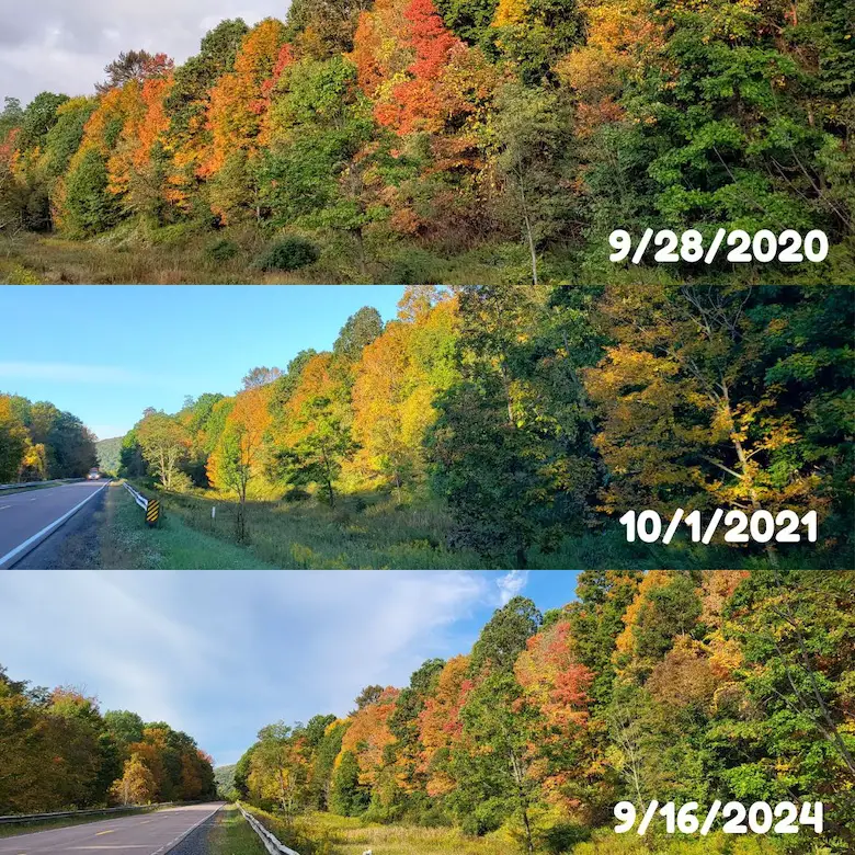 September 2024 fall foliage compare Garrett County Maryland