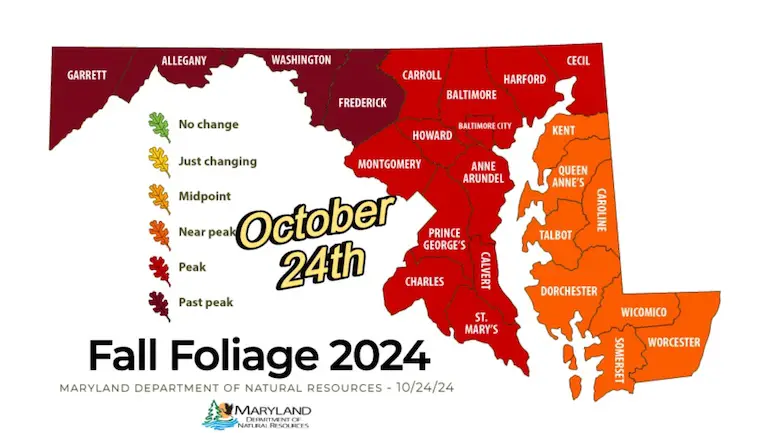 October 24 Maryland Fall Foliage Report