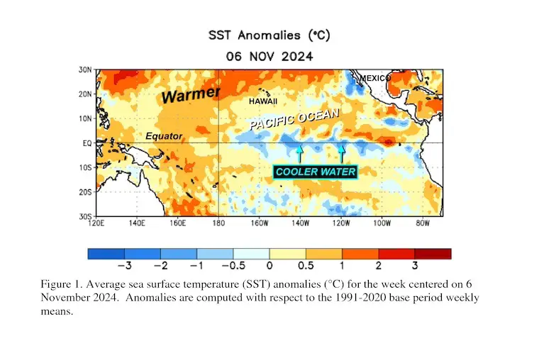 November 14 La Nina Pacific Ocean Sea Surface Temperature