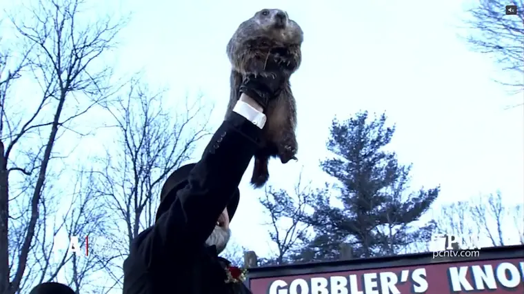 February 2 Groundhog Day Phils Calls For More Winter
