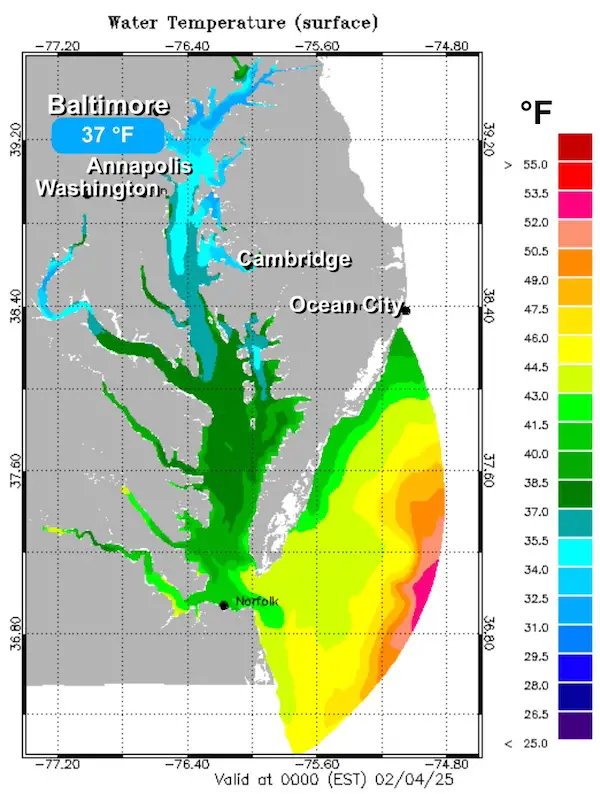 February 3 Chesapeake Bay water temperatures