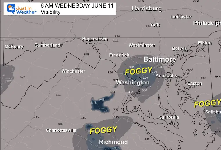 June 11 weather fog visibility Wednesday morning