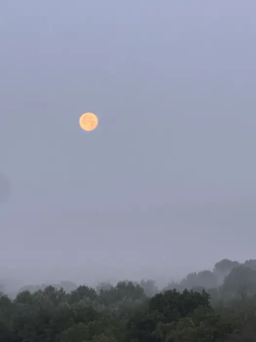 July 11 setting full moon