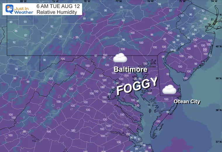 August 11 Weather humidity fog Tuesday morning