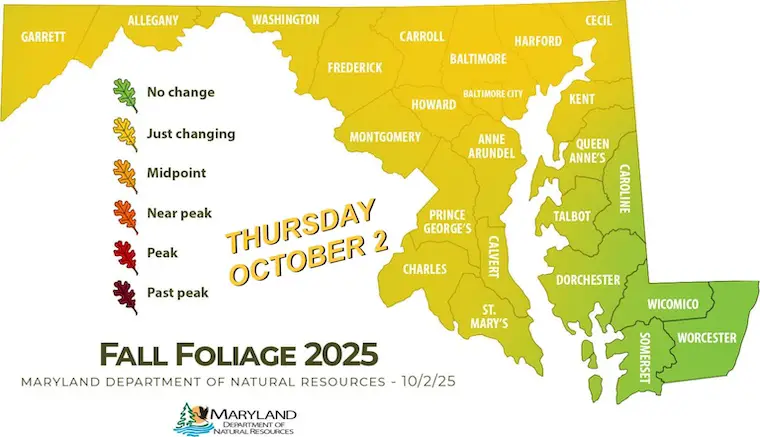 October 2 fall foliage Maryland