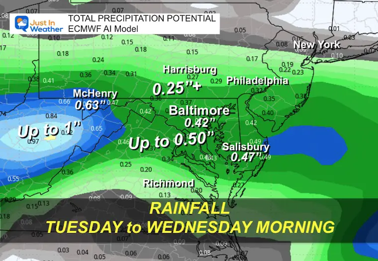 November 17 weather storm rain total ECMWF AI