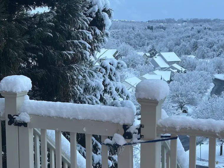 December 14 weather morning sunrise snow photo 2